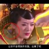 2021生肖数字图49码表